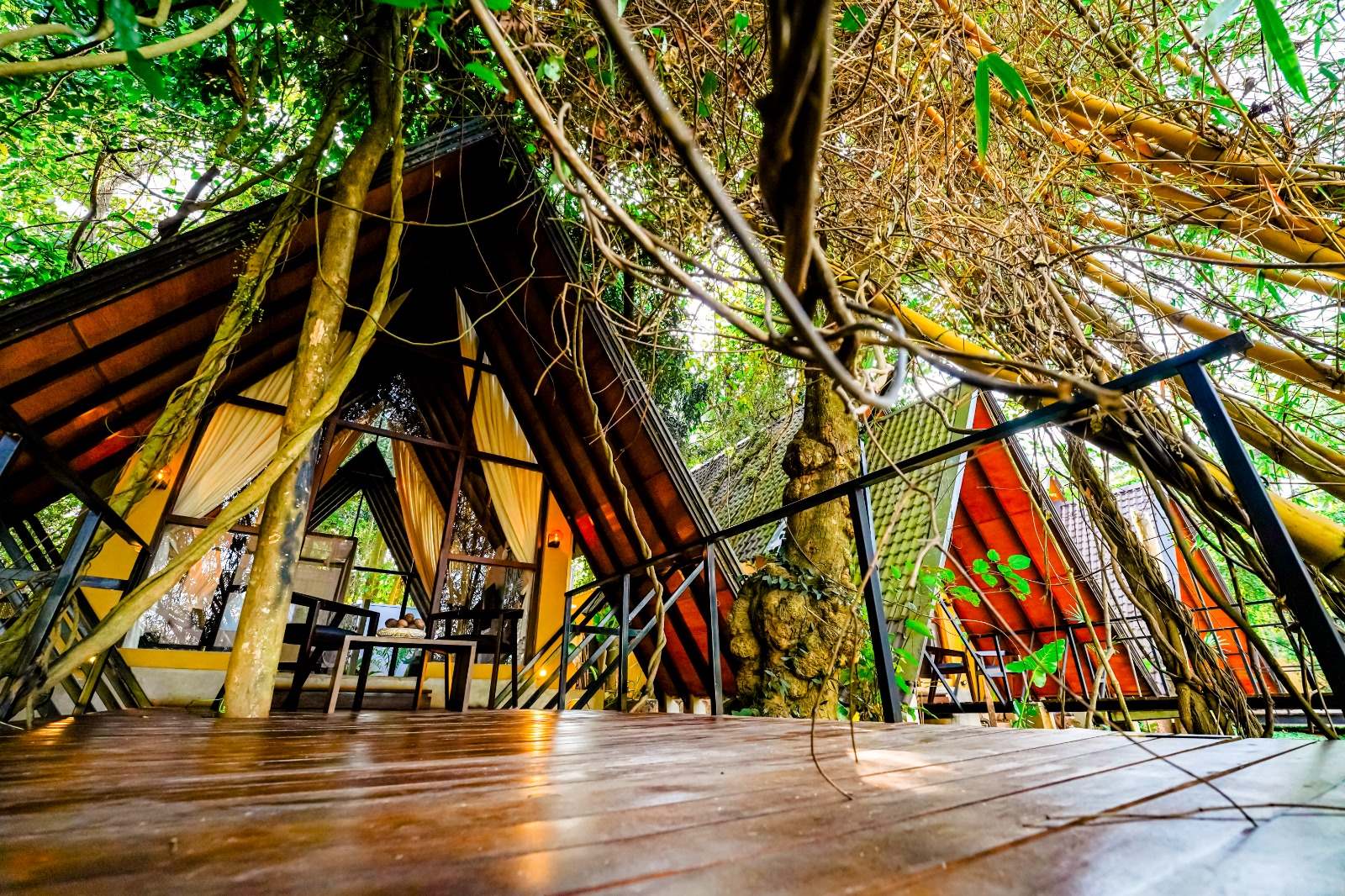 Built Around the Trees, Not In Place of Them